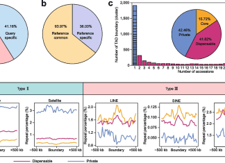Scientists Created a Pan-3D Genome of Soybean to Decipher Structural and Functional Differentiation Scientists Created a Pan-3D Genome of Soybean to Decipher Structural and Functional Differentiation