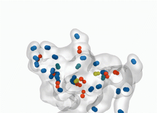 LongBondEliminator: A Novel Approach to Streamlining Molecular Dynamics Simulations LongBondEliminator