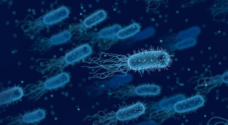 Local Creek Holds Secret to Fighting Deadly Infections: Newly Discovered Virus Kills Resistant Bacteria