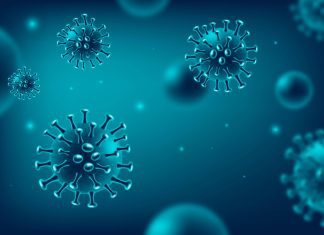 New Study Shows Pan-variant mRNA-LNP T Cell Vaccine Proves Effective Against SARS-CoV-2 Beta New Study Shows Pan-Variant mRNA-LNP T Cell Vaccine Proves Effective Against SARS-CoV-2 Beta