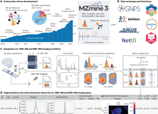 Scientists Introduce “MZmine3” for Processing Big Data to Identify Hidden Chemicals in Complex Mixtures MZmine3 for Processing Big Data to Identify Hidden Chemicals in Complex Mixtures