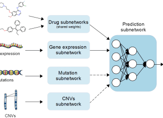 Evaluating the Efficacy of Deep Learning Algorithms for Predicting Drug Synergy in Cancer Treatment Evaluating the Efficacy of Deep Learning Algorithms for Predicting Drug Synergy in Cancer Treatment