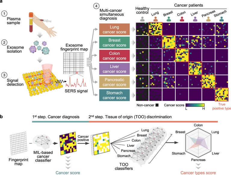 Researchers Offer an Innovative Single Test-Based Approach for Early Stage Cancer Diagnosis using Exosomes, SERS Technology and AI