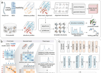 Meet PAthreader: A Powerful Tool for Protein Structure and Folding Pathway Prediction using Remote Homologs Recognition PAthreader: A Powerful Tool for Remote Homologs Recognition and Protein Folding Pathway Prediction