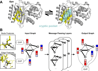 Penn Scientists Introduce ‘PocketMiner’ for Predicting Cryptic Pockets in Proteins and Expanding the Druggable Proteome Penn Scientists Introduce 'PocketMiner' for Predicting Cryptic Pockets in Proteins and Expanding the Druggable Proteome