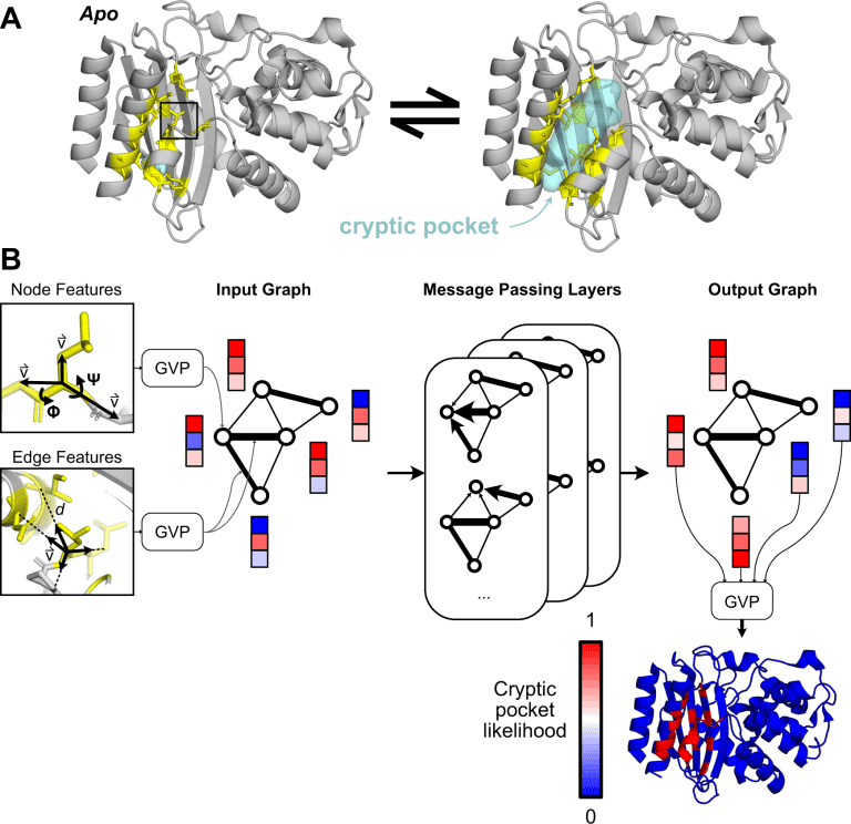 Penn Scientists Introduce 'PocketMiner' for Predicting Cryptic Pockets in Proteins and Expanding the Druggable Proteome