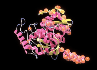 Transforming Protein Design with “ProT-VAE”: A Novel Approach Made Protein Engineering Easier with Deep Learning Transforming Protein Design with "ProT-VAE": A Novel Approach Made Protein Engineering Easier with Deep Learning