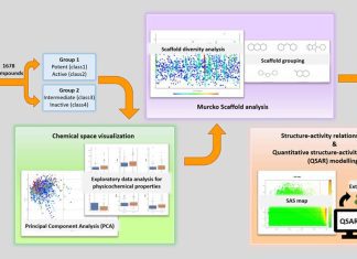 Bridging the Gap between Cheminformatics and Machine Learning to Investigate Androgen Receptor Antagonists in the Fight Against Prostate Cancer Bridging the Gap between Cheminformatics and Machine Learning to Investigate Androgen Receptor Antagonists in the Fight Against Prostate Cancer