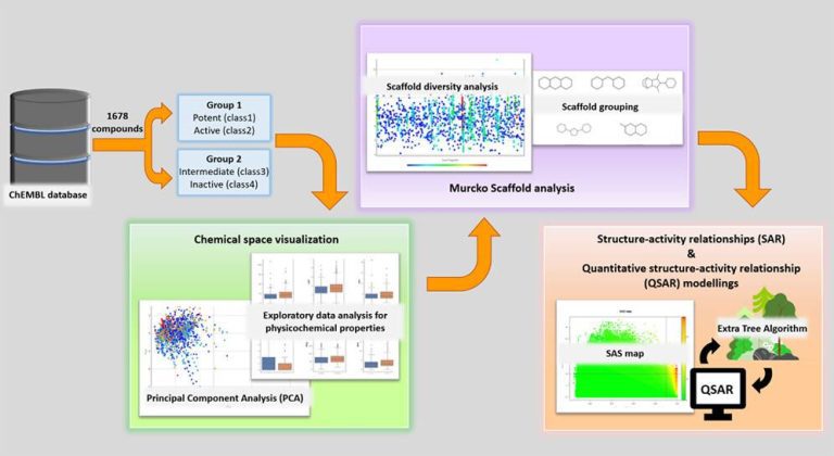 Bridging the Gap between Cheminformatics and Machine Learning to Investigate Androgen Receptor Antagonists in the Fight Against Prostate Cancer