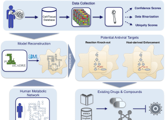 Novel Workflow Uses Targeted Computer Modeling to Predict Druggable Targets Against SARS-CoV-2 New workflow predicts drug targets against SARS-CoV-2 via metabolic changes in infected cell.