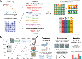 Unravelling Spatial Transcriptomics: A Benchmark Study of Cellular Deconvolution Methods Unravelling Spatial Transcriptomics: A Benchmark Study of Cellular Deconvolution Methods