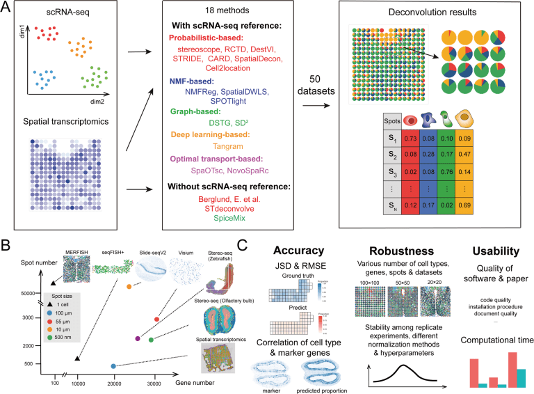 Unravelling Spatial Transcriptomics: A Benchmark Study of Cellular Deconvolution Methods