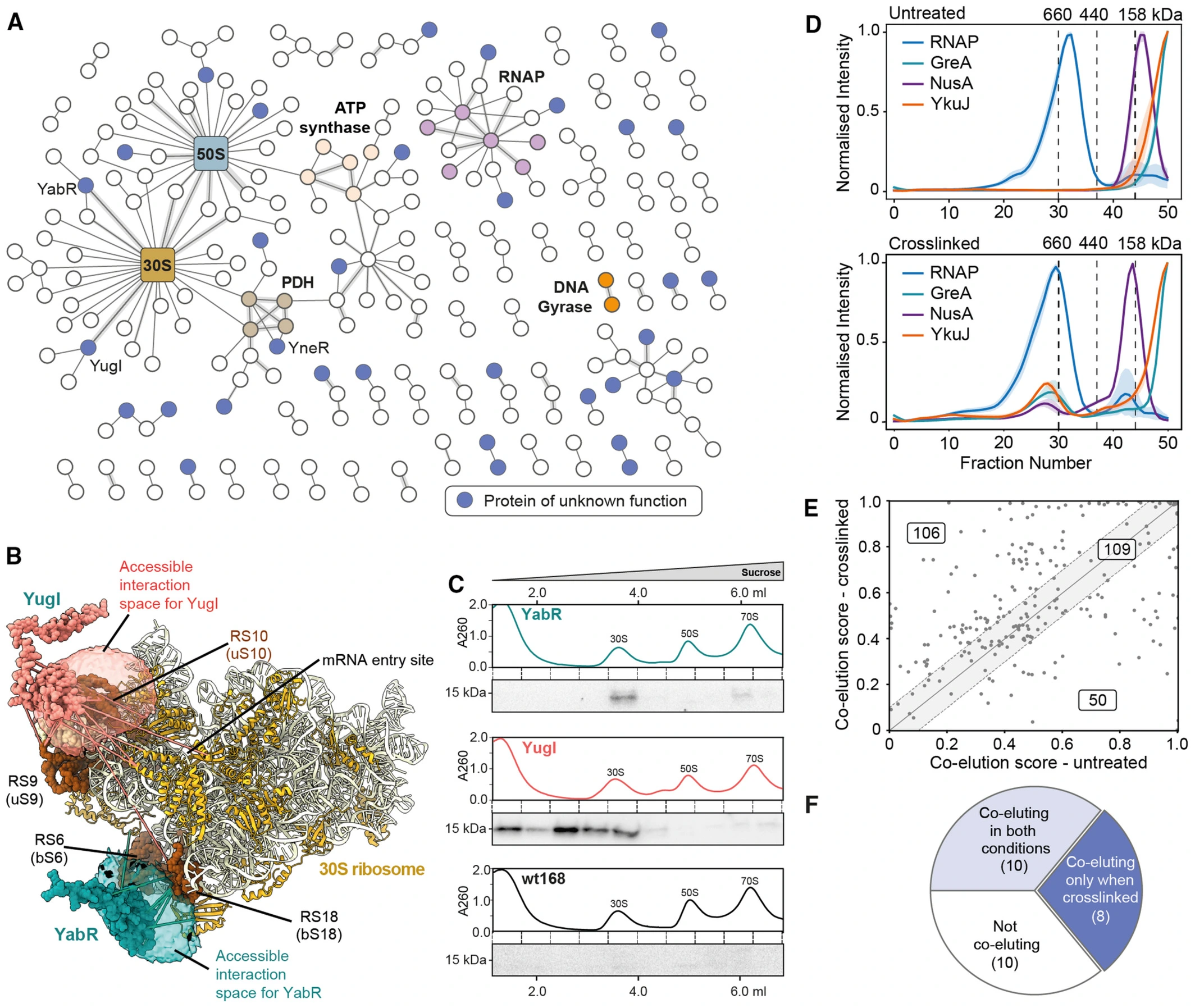 AI-Powered Structural Proteomics Unveils New Insights Into Protein ...