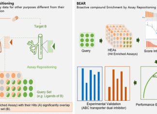 Transforming Drug Discovery with BEAR: A New Virtual Screening Approach Utilizing Large-Scale Bioactivity Data Transforming Drug Discovery with BEAR: A New Virtual Screening Approach Utilizing Large-Scale Bioactivity Data