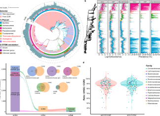 Recent Research Unveils New Genomic Landscape of the Human Gut Microbiome Recent Research Unveils New Genomic Landscape of the Human Gut Microbiome