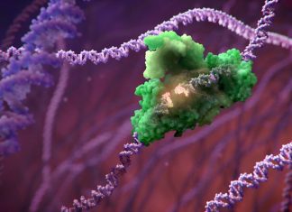 Enzyme Function Prediction from Amino Acid Sequence: How AI is Leading the Way Enzyme Function Prediction from Amino Acid Sequence: How AI is Leading the Way