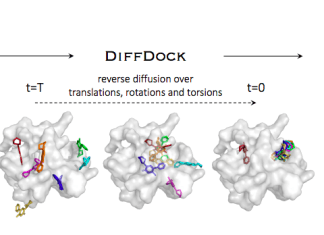MIT’s DiffDock: A Breakthrough Diffusion Generative Model-based Approach for Molecular Docking DiffDock: A Diffusion Generative Model-based Approach for Molecular Docking