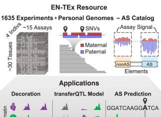 Transforming Functional Genomics Research using EN-TEx: A Resource of Multi-tissue Epigenomes & Variant-Impact Models Transforming Functional Genomics Research using EN-TEx: A Resource of Multi-tissue Epigenomes & Variant-Impact Models