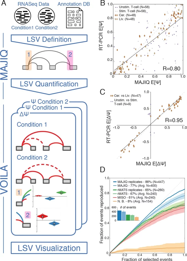 Overcoming Challenges in Detecting and Quantifying Splicing Variations in Large RNAseq Datasets with MAJIQ v2