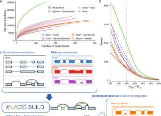 Overcoming Challenges in Detecting and Quantifying Splicing Variations in Large RNAseq Datasets with MAJIQ v2 Overcoming Challenges in Detecting and Quantifying Splicing Variations in Large RNA-seq Datasets with MAJIQ v2