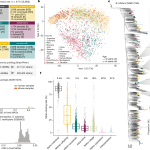 New Study Reveals Extensive Person-to-Person Gut and Oral Microbiome Transmission Landscape