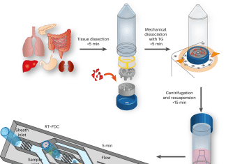 Single-cell Based AI Pathologist for Rapid Physical Phenotyping of Cancer Biopsies Single-cell Based AI Pathologist for Rapid Physical Phenotyping of Cancer Biopsies