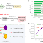 ProInfer: A Shotgun Proteomics-Based Protein Quantification Approach