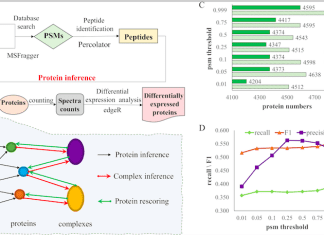 Bridging the Gap Between Proteomics and Systems Biology with ProInfer: A Machine Learning-based Approach for Protein Inference Analysis ProInfer: A Shotgun Proteomics-Based Protein Quantification Approach