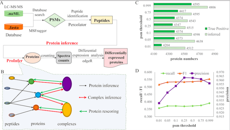 Bridging the Gap Between Proteomics and Systems Biology with ProInfer: A Machine Learning-based Approach for Protein Inference Analysis