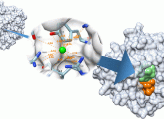 Precise Protein-Ligand-Binding Site Mapping with ‘SiteRadar’: A Graph Machine Learning Algorithm Precise Protein-Ligand-Binding Site Mapping with SiteRadar: A Graph Machine Learning Algorithm