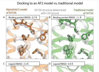 AlphaFold’s Impact on Drug Discovery: A Closer Look at How Accurately It Predicts Drug Binding Modes Accessing the accuracy of AlphaFold 2 Models: A Closer Look at Drug Binding Modes Prediction