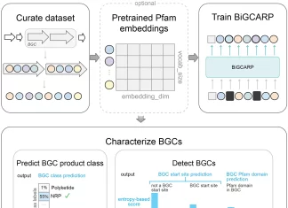 Transforming Natural Product Identification through Deep Self-Supervised Learning Language Models Transforming Natural Product Identification Through Deep Self-Supervised Learning Language Models
