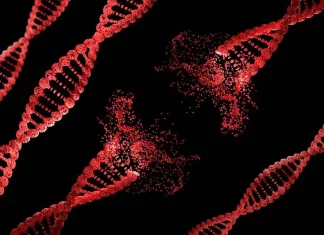Decoding the DNA Repair Network: Insights from a Novel Multi-scale DNA Damage Response Assemblies Map Decoding the DNA Repair Network: Insights from a Novel Multi-scale DNA Damage Response Assemblies Map