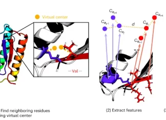 Meet Foldseek: A High-Performance Deep Learning Approach for Fast and Accurate Protein Structure Search Meet Foldseek: A High-Performance Deep Learning Approach for Fast and Accurate Protein Structure Search