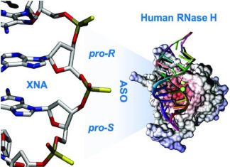Simulation Tools Shape the Landscape of New Generation Gene Silencing Therapies Simulation Tools Shape the Landscape of New Generation Gene Silencing Therapies