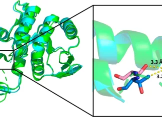 Repurposing ‘Failed’ Antibiotics: A Promising Approach for Herbicide Development Repurposing 'Failed' Antibiotics: A Promising Approach for Herbicide Development