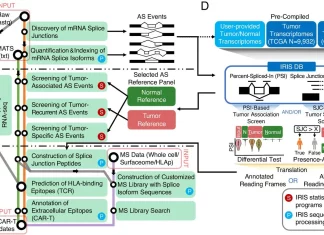Meet IRIS: The Innovative Computational Tool for Identifying De Novo Cancer Immunotherapy Targets from pre-mRNA Alternative Splicing Meet IRIS: the Innovative Computational Tool for Identifying de novo cancer immunotherapy targets from pre-mRNA alternative splicing