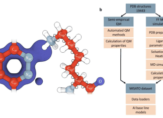 Empowering Scientists with MISATO: a Machine Learning Dataset for Structure-based Drug Discovery Empowering Scientists with MISATO: a Machine Learning Dataset for Structure-based Drug Discovery