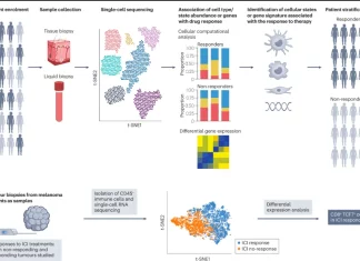 Discover How Single-cell RNA Sequencing is Transforming the Drug Discovery and Development Landscape How Single-cell RNA Sequencing is Changing Drug Discovery and Development