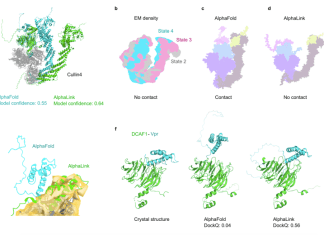 Enhancing Protein Complex Structure Modeling: Deep Learning Meets Crosslinking Mass Spectrometry Enhancing Protein Complex Structure Modeling with AlphaLink: Deep Learning Meets Crosslinking Mass Spectrometry