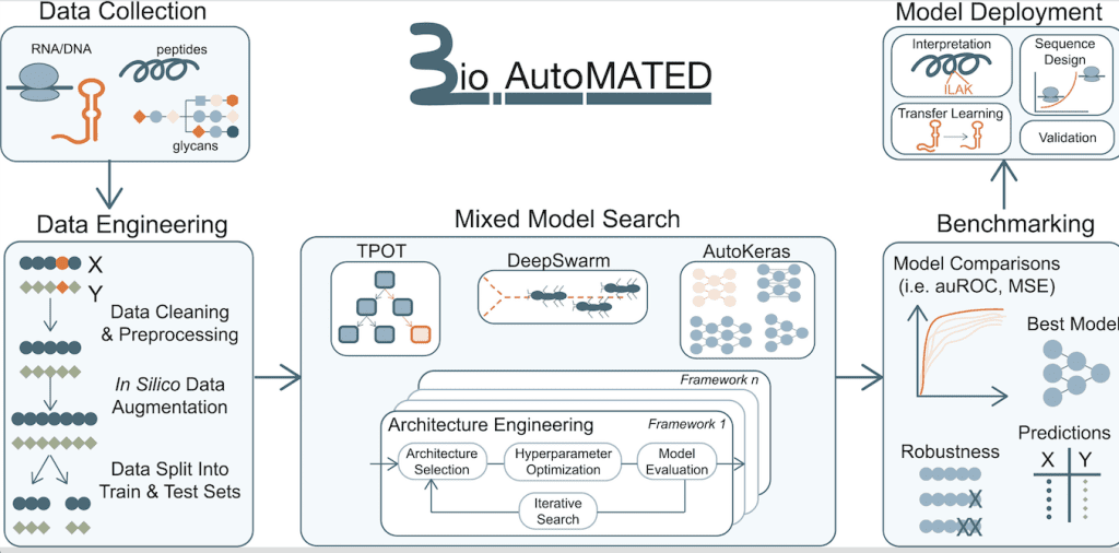 BioAutoMATED: Empowering Life Scientists with Automated Machine Learning for Analyzing and Designing Biological Sequences