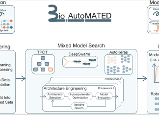 Meet BioAutoMATED: Empowering Life Scientists with Automated Machine Learning for Analyzing and Designing Biological Sequences BioAutoMATED: Empowering Life Scientists with Automated Machine Learning for Analyzing and Designing Biological Sequences