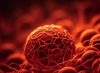 Exploring Molecular Alterations in Cancer with cProSite: A Web-based Tool for Genomics, Proteomics, and Phosphoproteomics Data Analysis Exploring Molecular Alterations in Cancer with cProSite: A Web-based Tool for Genomics, Proteomics, and Phosphoproteomics Data Analysis