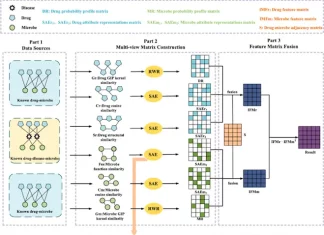 Meet MDASAE: A Novel Microbe-Drug Association Prediction Model Meet MDASAE: A Novel Microbe-Drug Association Prediction Model