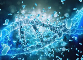 Drug-Microbiome Interactions: Machine Learning Model Predicts How Drugs Affect Gut Microbiome Drug-Microbiome Interactions: Machine Learning Model Predicts How Drugs Affect Gut Microbiome