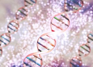 Discovering Genome-Wide Chromatin Contacts: Multiplex-GAM vs. Hi-C Showdown! Discovering Genome-Wide Chromatin Connections: Multiplex-GAM vs. Hi-C Showdown!
