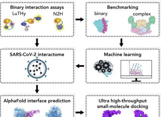 AI-Powered Protein-Protein Interaction Drug Discovery Pipeline Yields a Promising SARS-CoV-2 Inhibitor AI-Powered Protein-Protein Interaction Drug Discovery Pipeline Yields a Promising SARS-CoV-2 Inhibitor