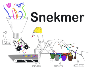 Meet Snekmer: A Powerful Machine Learning Based Protein Annotation Tool Utilizing Peptide Fingerprinting Meet Snekmer: A Powerful Machine Learning Based Protein Annotation Tool Utilizing Peptide Fingerprinting