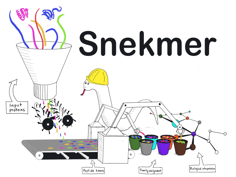 Meet Snekmer: A Powerful Machine Learning Based Protein Annotation Tool Utilizing Peptide Fingerprinting