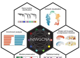 Unlocking New Insights in Alzheimer’s Disease: UC Irvine Neuroscientists Develop the ‘Meta-Cell’ Unlocking New Insights in Alzheimer's Disease: UC Irvine Neuroscientists Develop the 'Meta-Cell'